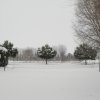 la grande nevicata del febbraio 2012 142